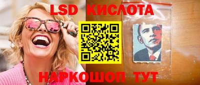 молекула духа Новозыбков