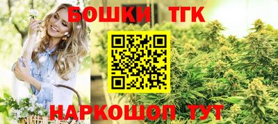 молекула духа Новозыбков