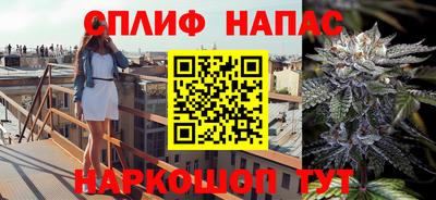 молекула духа Новозыбков