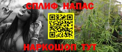 молекула духа Новозыбков