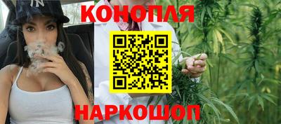 шишки Обнинск