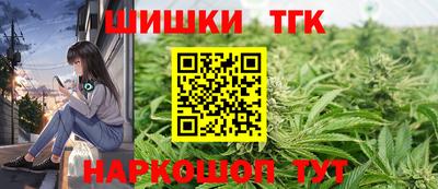 молекула духа Новозыбков