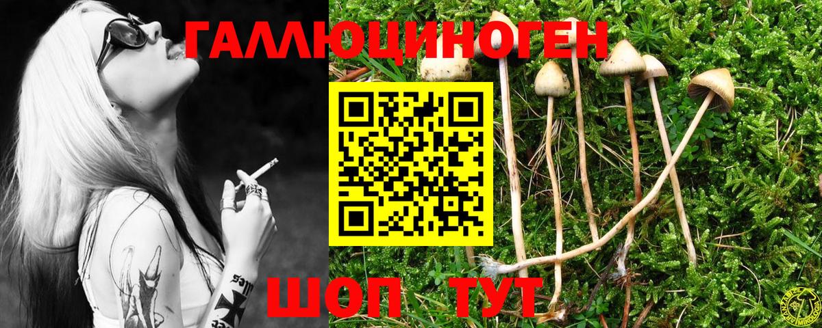 Галлюциногенные грибы MAGIC MUSHROOMS  Вход с VPN  купить закладку  Чебаркуль 