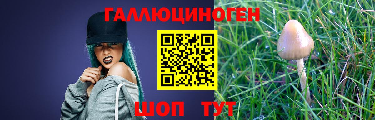 Псилоцибиновые грибы Psilocybine cubensis Чебаркуль